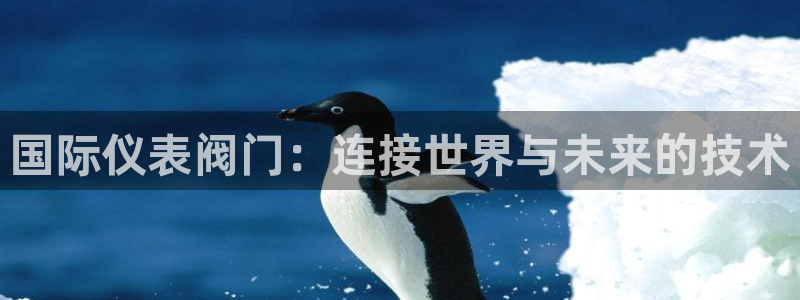 云顶国际装饰设计怎么样