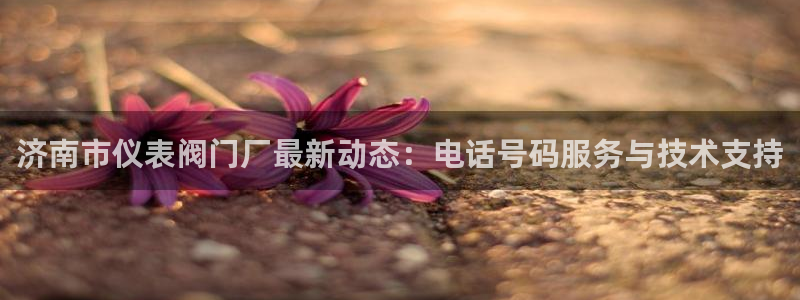 云顶国际服怎么换服务器