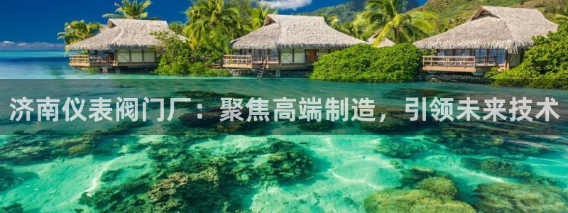 云顶集团有限公司简介概况