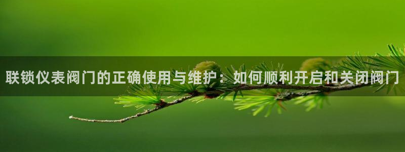 云顶集团3118app功能