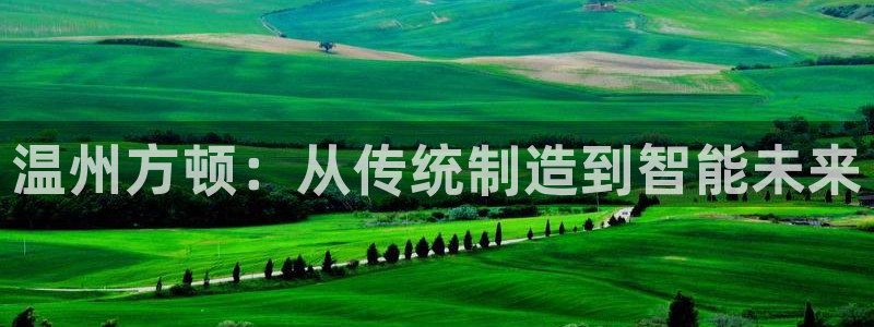 云顶国际游戏网址