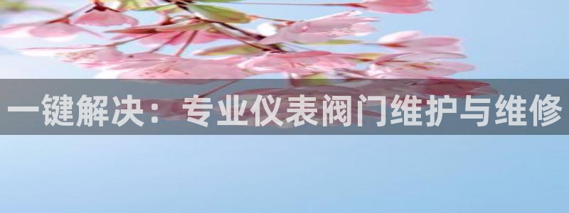 云顶国际部一年学费