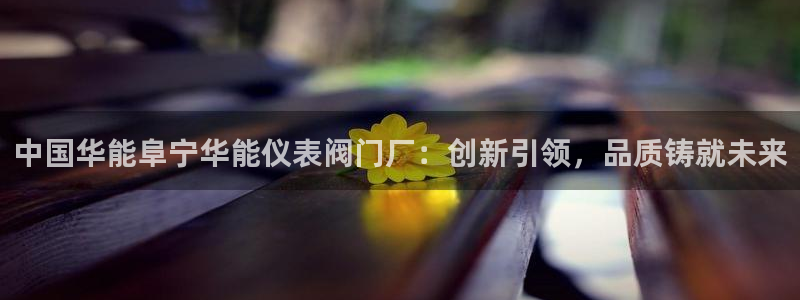 云顶国际体育官方网站下载