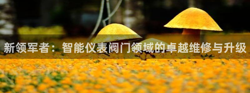 云顶国际公馆二手房出售