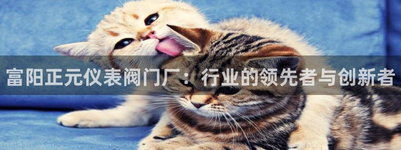 云顶国际电子注册平台