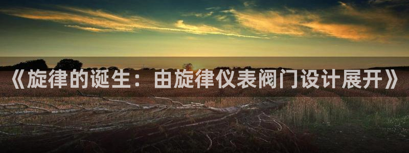 云顶国际投资有限公司怎么样