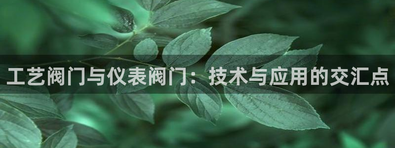 云顶国际物流有限公司