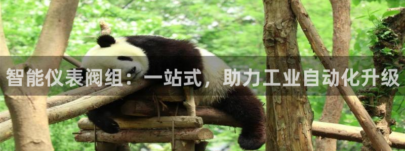 云顶国际app官方网站下载