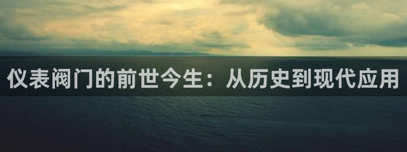 云顶控股集团有限公司