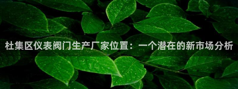 云顶国际服s9赛季什么时候出的