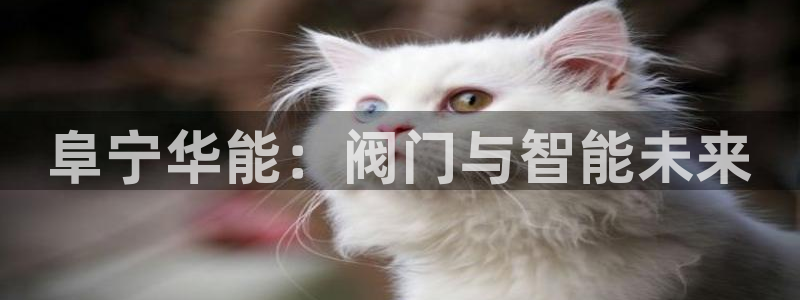 云顶国际集团官网首页登录