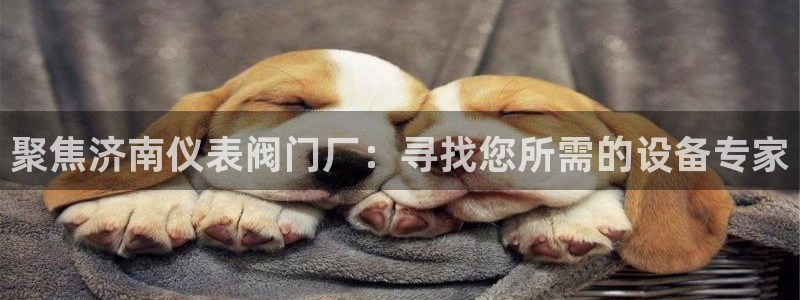 云顶国际服更新公告