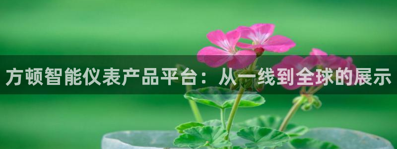 云顶国际服下载