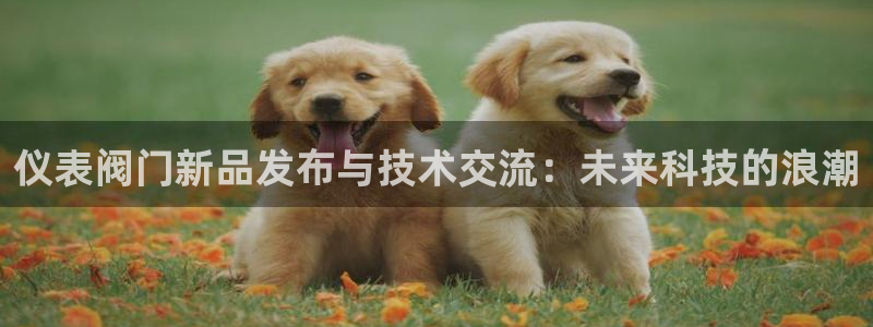 云顶国际酒店位置图