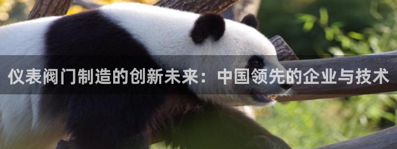 云顶国际物业电话