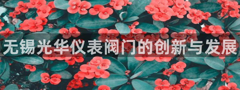 云顶集团官网登录入口