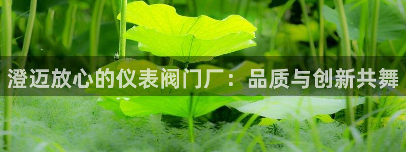 云顶集团游戏app8293