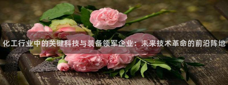 云顶集团gentinggroup