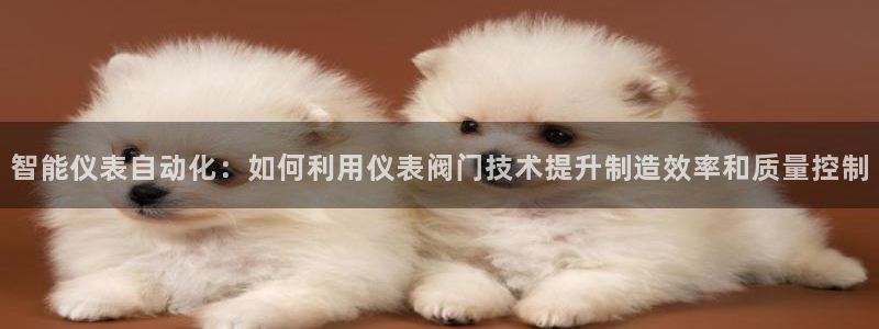 云顶集团董事长林东简历图片