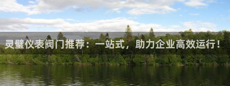 云顶国际服怎么登录