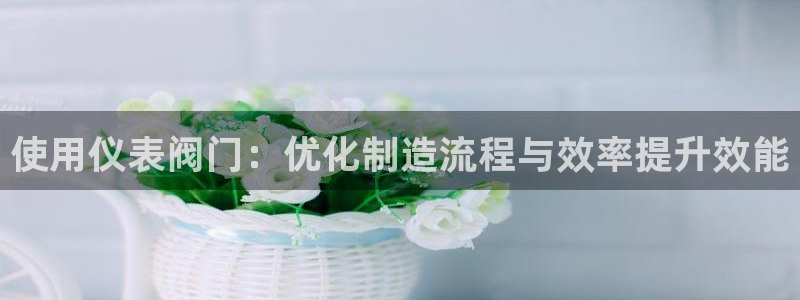 马来西亚云顶集团简介