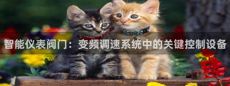 云顶国际服什么时候更新s9.5