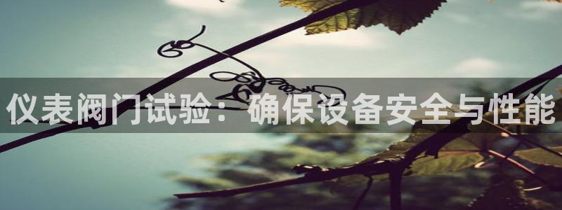 4008浏览器云顶下载