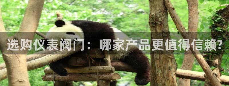 云顶国际集团io