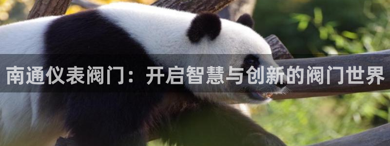 云顶国际app怎么样可靠吗