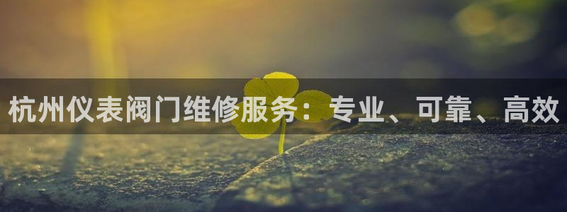 最新版云顶攻略