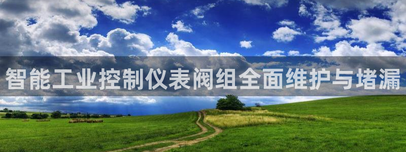 云顶国际商业广场怎么样