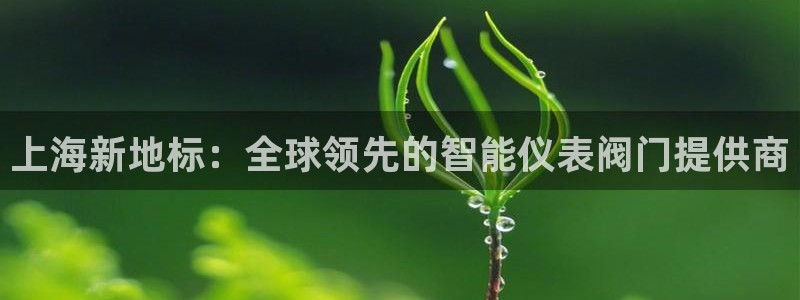 云顶国际服账号