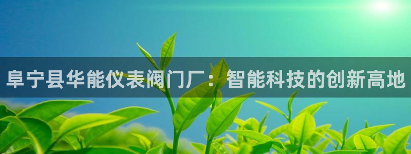 云顶国际能提现吗