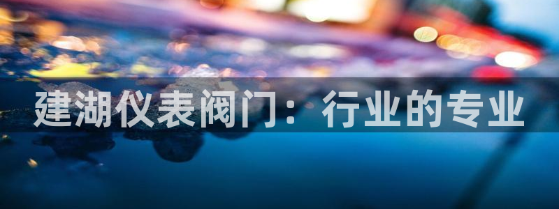 云顶国际旅行社官网