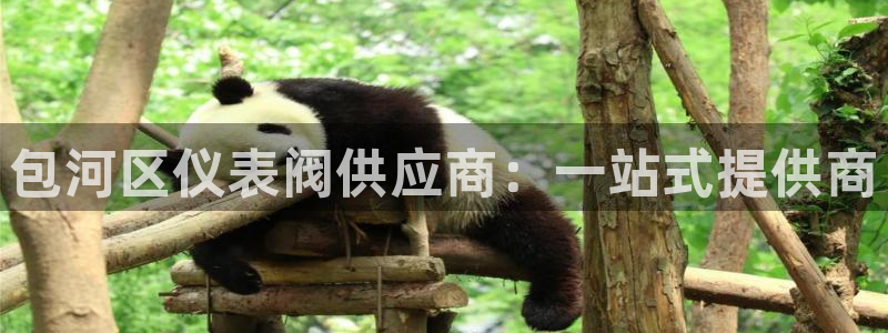 云顶国际app官方