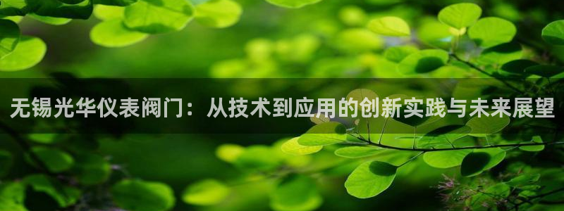 云顶国际服叫啥