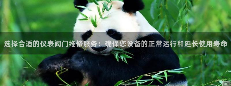 云顶集团中国区执行总裁是谁