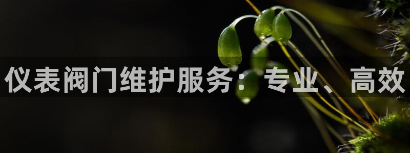 云顶国际网站合法吗