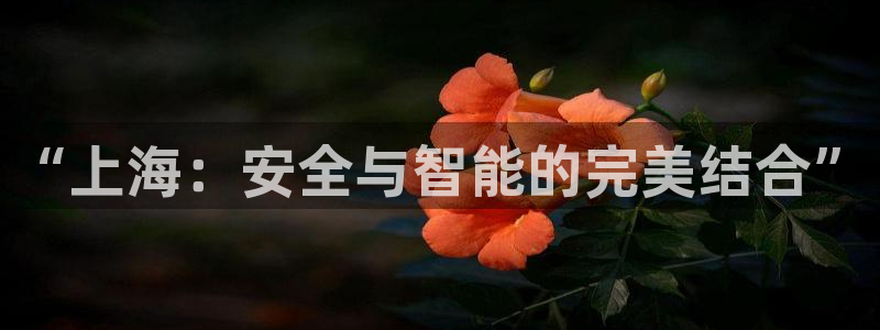 太原云顶国际酒店郝睿