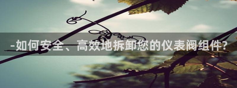 云顶国际官方网站入口