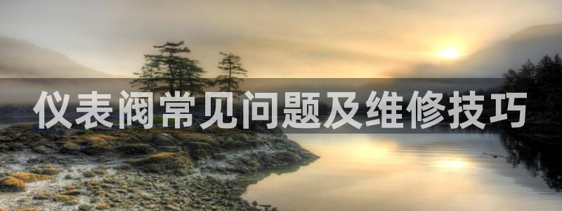 云顶国际酒店老板是谁