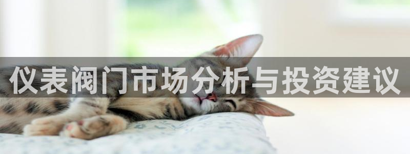 云顶国际官方网站入口