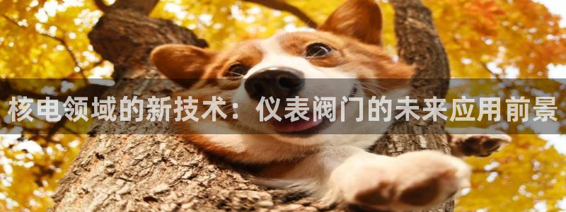 云顶国际公馆是公寓吗多少钱