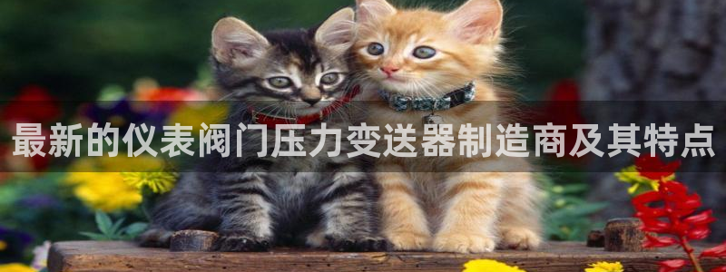 云顶集团林致华