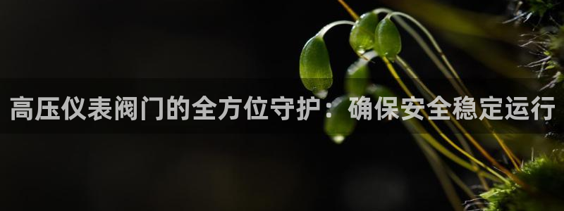 云顶国际集团游戏官网