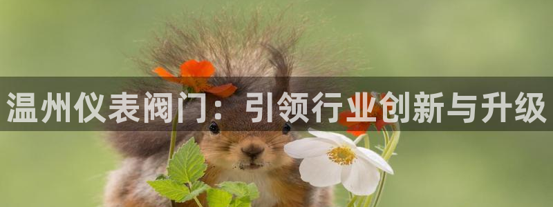 云顶国际提现失败怎么办