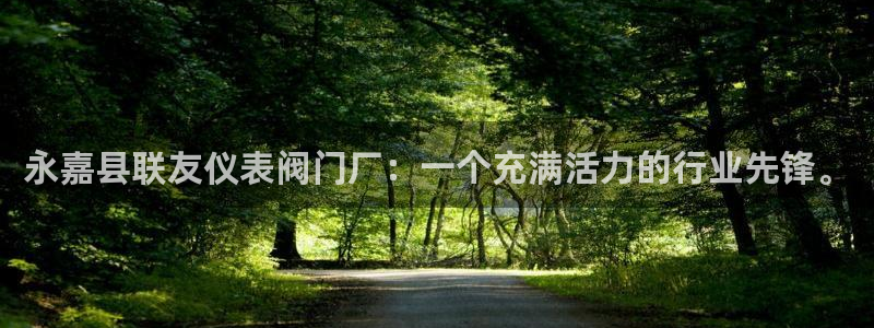 云顶集团公司简介图片