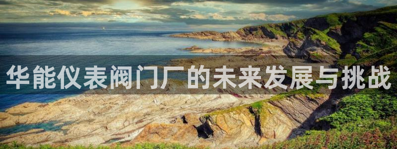 云顶国际物流官网