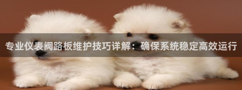 云顶集团3118官网