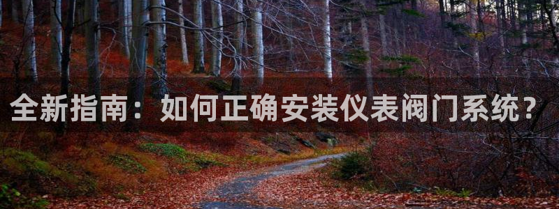 云顶国际中国官方网站入口